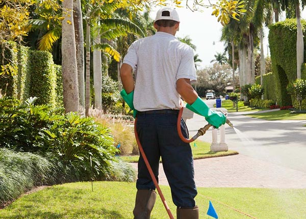 About Whitehall PA Pest Control Pros